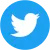 Ícono twitter